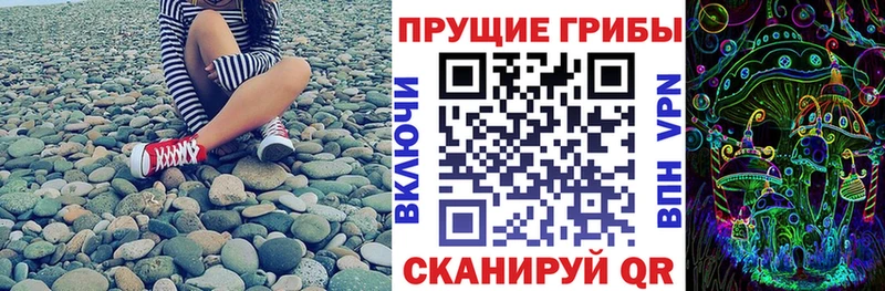 цены наркотик  Искитим  Псилоцибиновые грибы Psilocybine cubensis 