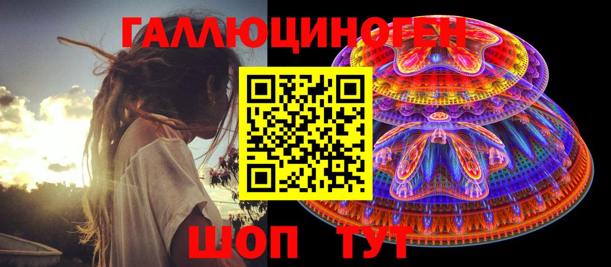 Псилоцибиновые грибы Psilocybe Искитим