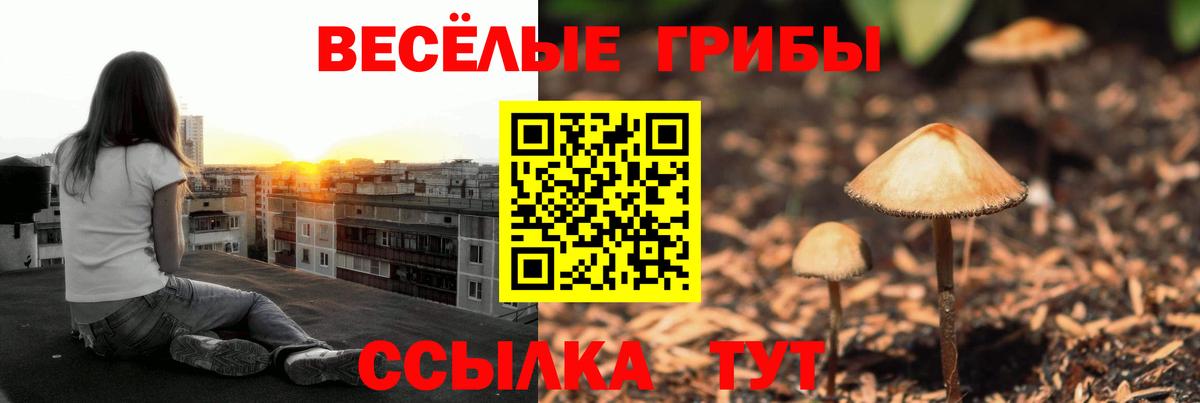 Галлюциногенные грибы прущие грибы  Вход с VPN  Искитим 